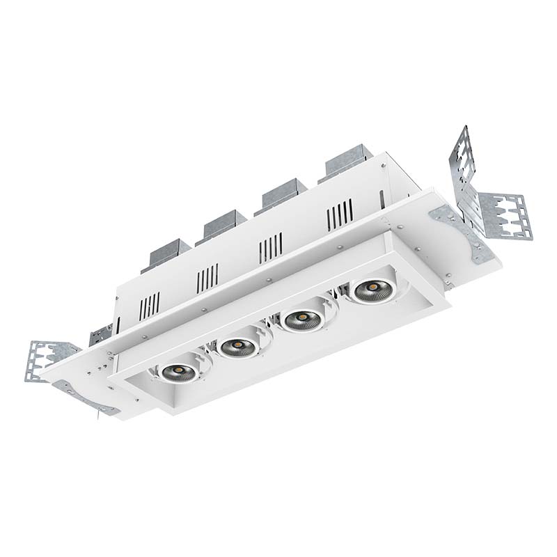 LED Multiple Downlight